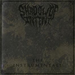 Album cover of The Instrumentals