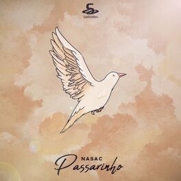Album cover of Passarinho