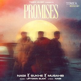 Album cover of Promises
