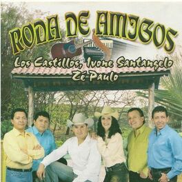 Album cover of Roda de Amigos