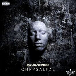 Album cover of Chrysalide