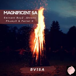 Album cover of Bvisa