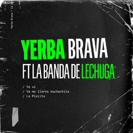 Album cover of Te Vi / Ya No Llores Muchachita / La Plazita