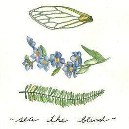Album cover of Sea the Blind