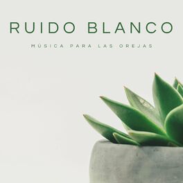 Album cover of Ruido Blanco: Música Para Las Orejas