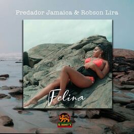 Album cover of Felina