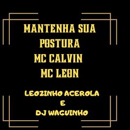 Album cover of Mantenha Sua Postura
