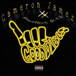 Album cover of Goodvibes (feat. Cameron Jamez)