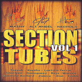 Album cover of Section Tubes, Vol. 1