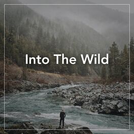 Album cover of Into The Wild