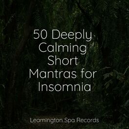 Album cover of 50 Deeply Calming Short Mantras for Insomnia