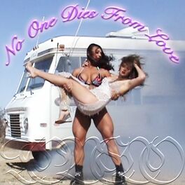 Album cover of No One Dies From Love