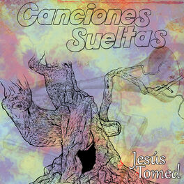 Album cover of Canciones Sueltas