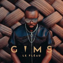 Album cover of Le fléau