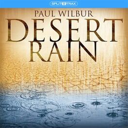 Album cover of Desert Rain (Split Trax)