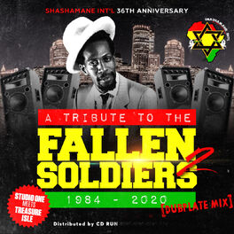 Album cover of Tribute to the Fallen Soldiers Dubplate Mix, Vol. 2 (1984 - 2020 Shashamane Int'l Anniversary Studio One Meets Treasure Isle)
