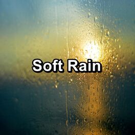 Album cover of Soft Rain