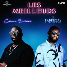 Album cover of Les Meilleurs (Vici) (feat. Fabregas le Métis Noir)