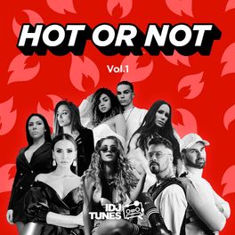 Album cover of Hot Or Not Vol. 1