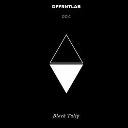 Album cover of Black Tulip
