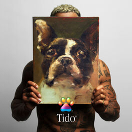 Album cover of Tido