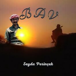 Album cover of Bav