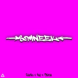 Album cover of Somneek (feat. Ghetzu & Stefan)