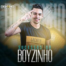 Album cover of Sucessos do Boyzinho