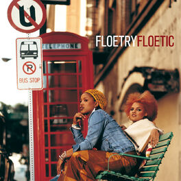 Album cover of Floetic