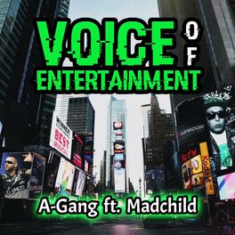 Album cover of Voice of Entertainment (feat. Madchild)