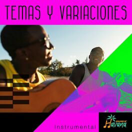 Album cover of TEMAS Y VARIACIONES (Instrumental)