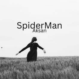 Album cover of Spider Man