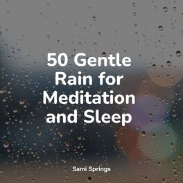 Album cover of 50 Gentle Rain for Meditation and Sleep