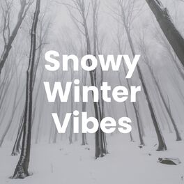 Album cover of Snowy Winter Vibes