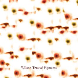 Album cover of Pigments