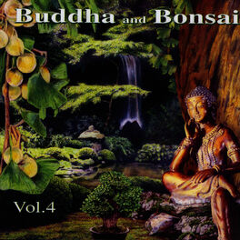 Album cover of Buddha and Bonsai Volume 4