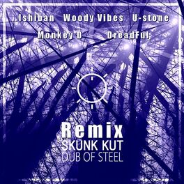 Album cover of Dub of Steel (Remix)