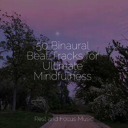 Album cover of 50 Binaural Beat Tracks for Ultimate Mindfulness