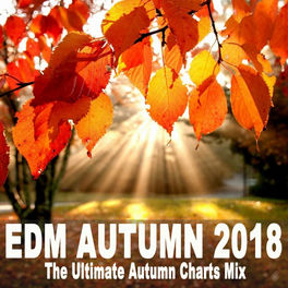 Various Artists Edm Autumn 2018 The Ultimate Autumn Charts Mix The Best Edm Trap Dirty House Lyrics And Songs Deezer deezer
