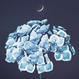Album cover of In Moonlight
