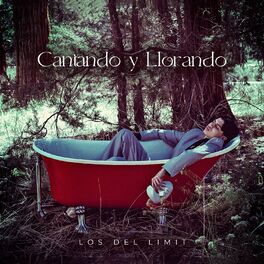 Album cover of Cantando y Llorando