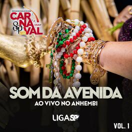 Album cover of Som da Avenida Ao Vivo no Anhembi, Vol. 1 (Ao Vivo)