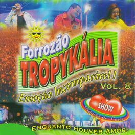 Album cover of Emoção Incomparável, Vol. 8
