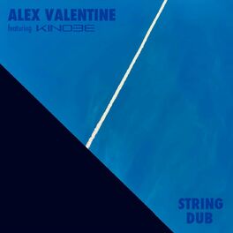 Album cover of String Dub
