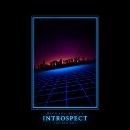 Album cover of Introspect (The Remixes)
