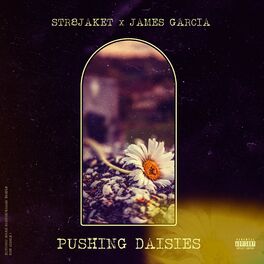 Album cover of Pushing Daisies