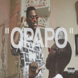 Album cover of O Papo