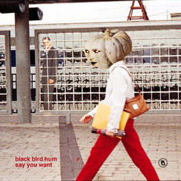 Album cover of Say You Want