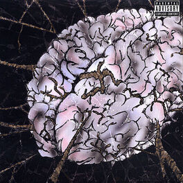 Album cover of My Complex