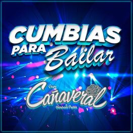 Album cover of Cumbias Para Bailar